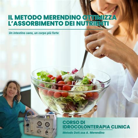 diagramma che mostra il processo di assorbimento dei nutrienti durante un pasto principale