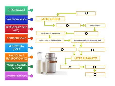 schema grafico del processo di trasformazione del latte vaccino in latte formulato per neonati