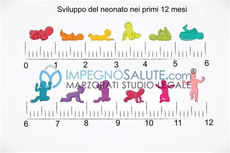 Grafico che illustra le tappe dello svezzamento