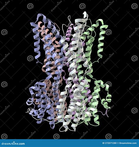 Modello molecolare di una proteina