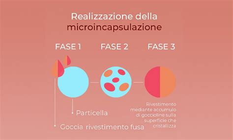 Processo di microincapsulazione dei grassi alimentari
