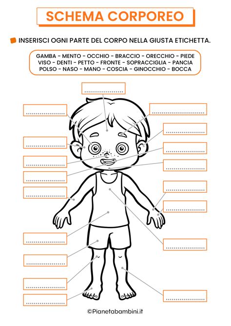 schema grafico del dosaggio pediatrico basato sul peso corporeo
