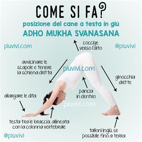 Illustrazione del cane a testa in giù (Adho Mukha Svanasana)