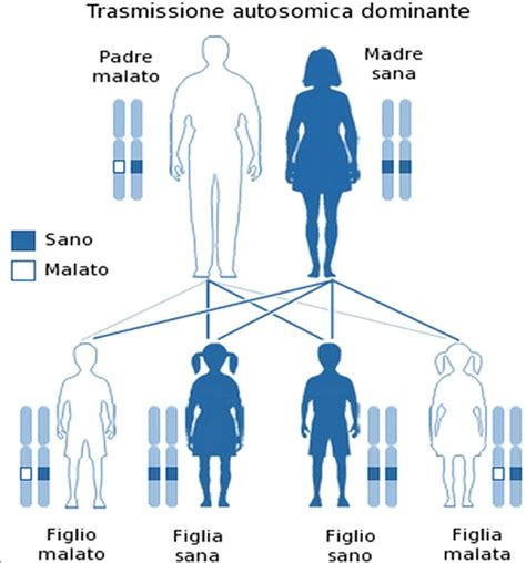 Schema raffigurante la trasmissione autosomica dominante e recessiva