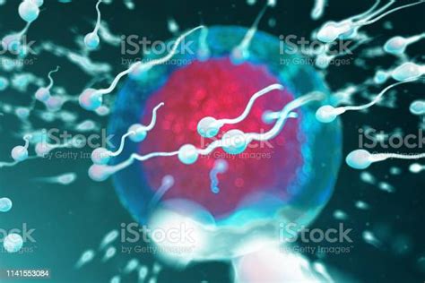 Illustrazione di un ovulo sano con spermatozoi che si avvicinano