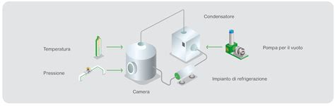 Diagramma comparativo tra processo di liofilizzazione e omogeneizzazione