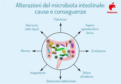 mappa concettuale del microbiota vaginale e fattori che ne influenzano l'equilibrio