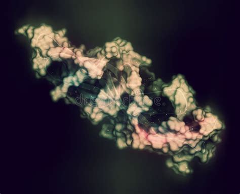 Struttura chimica della gonadotropina corionica umana (hCG)