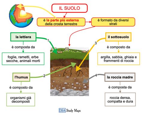 mappa concettuale delle tipologie di suolo agricolo e potenziale di sviluppo costiero
