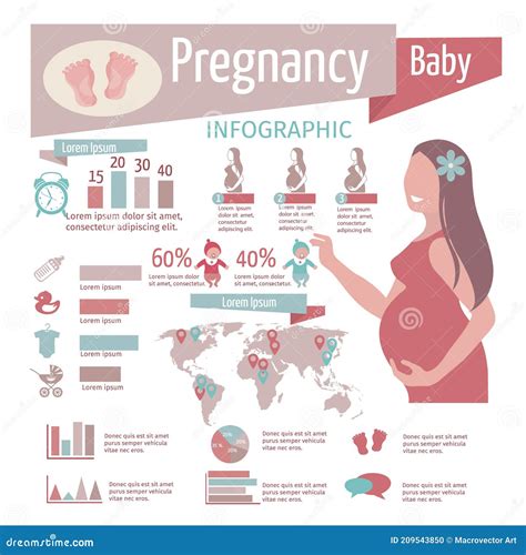 Infografica sulla fisiologia della gravidanza