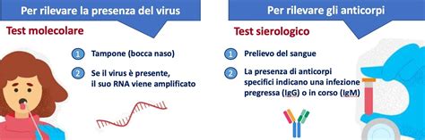 Illustrazione del funzionamento del test sierologico