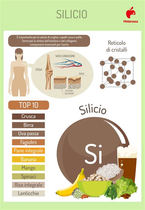 infografica sui benefici del silicio sulla shelf-life dei frutti