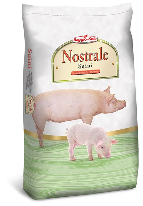 Scrofa in fase avanzata di gestazione