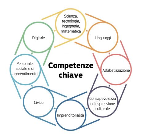 Grafico delle competenze sviluppate nel corso di ostetricia