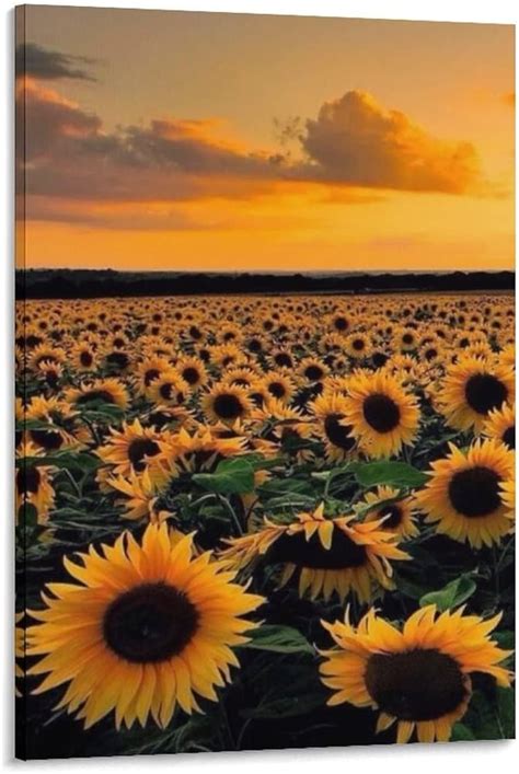 rappresentazione artistica di un girasole in un campo al tramonto