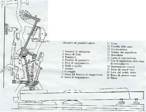 Schema meccanismo pedale pianoforte
