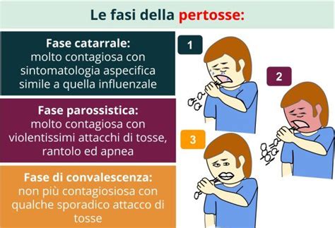 Diagramma delle fasi della pertosse con enfasi sugli attacchi di tosse parossistica