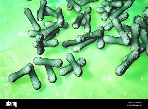 Microscopio che mostra batteri della difterite