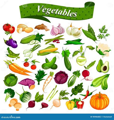 Illustrazione di vari tipi di verdure fresche e sane