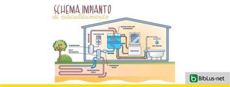 Schema di un impianto di talee di salice per la stabilizzazione di una sponda