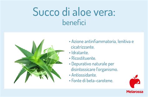 infografica che mostra i benefici dell'aloe vera e della camomilla nella cura della pelle del neonato
