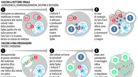 Infografica comparativa tra vaccini a vettore virale e vaccini a mRNA