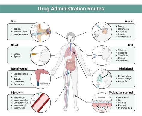 Graphic showing human body with ingested drug capsules