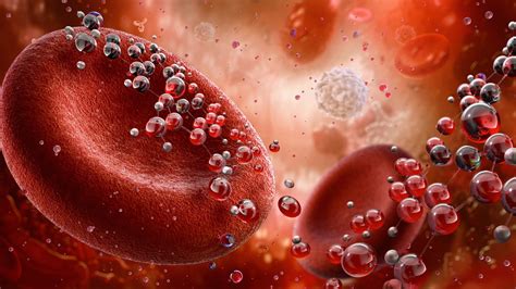 Illustrazione che mostra la carenza di ferro nel corpo umano