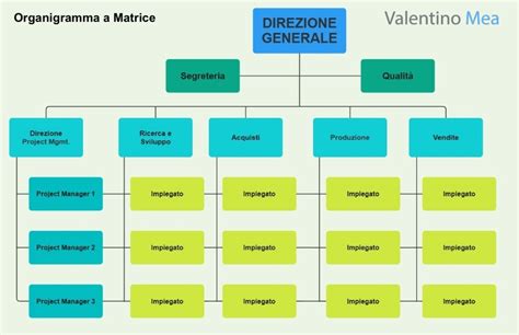 Illustrazione di un organigramma del comitato etico