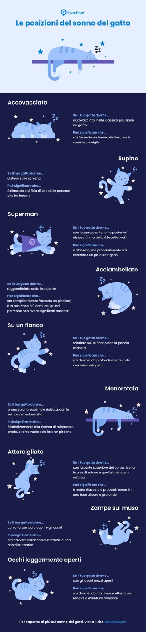 infografica che mette a confronto diverse posizioni del sonno e i tratti caratteriali associati
