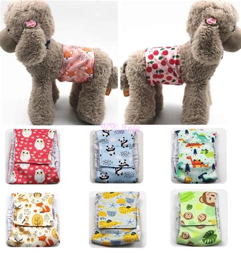 Cucciolo con pannolino durante l'addestramento