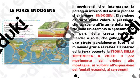 Diagramma che mostra le fonti esogene ed endogene di ROS che portano alla disfunzione spermatica