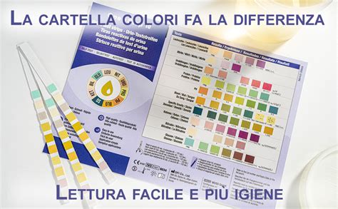 illustrazione di strisce reattive per urina con scala cromatica e istruzioni visive