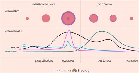 Ciclo mestruale e prestazioni sportive