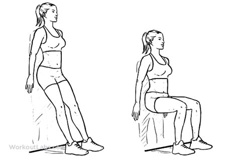 Infografica: Muscoli coinvolti nel wall sit