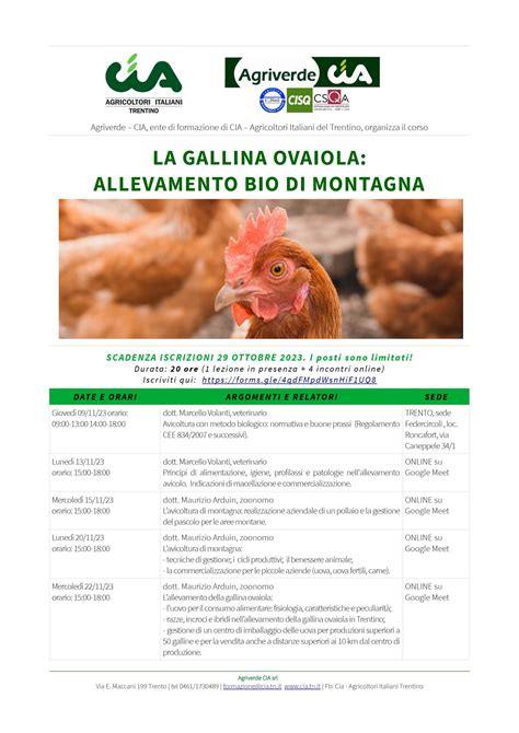 infografica che mostra le necessità stagionali di una gallina ovaiola