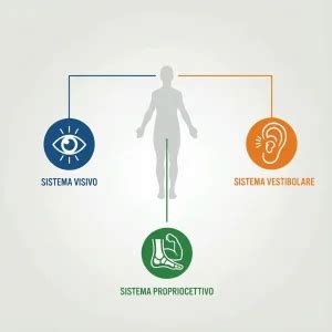 Diagramma dei sistemi sensoriali (vestibolare, propriocettivo, interocettivo)