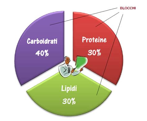 Infografica che confronta le percentuali di proteine, grassi e carboidrati nelle whey concentrate, isolate e idrolizzate