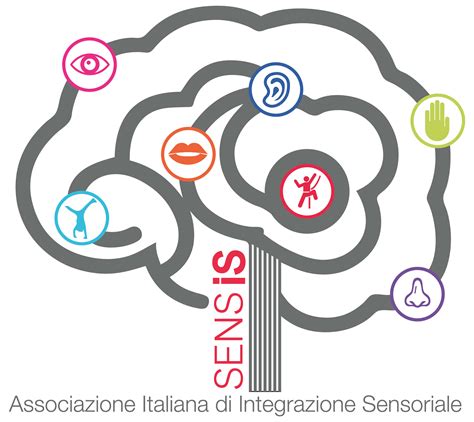 infografica sulle diverse modalità sensoriali e la loro integrazione nel cervello