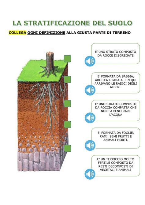 Schema illustrativo della stratificazione della coperta in cotone