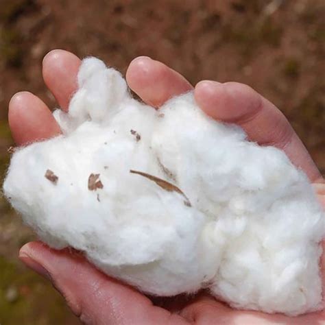 Benefici del cotone anallergico per bambini