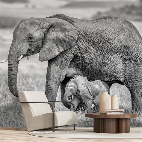 Una madre elefante con il suo piccolo