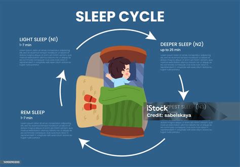 illustrazione che mostra i cicli del sonno infantile