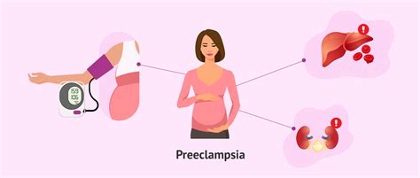 Ciclo patologico della preeclampsia e eclampsia