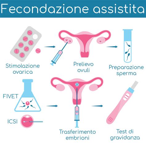 infografica che riassume le fasi del percorso FIVET e l'integrazione vitaminica
