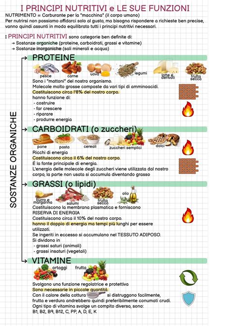 illustrazione concettuale sulla nutrizione infantile e la scelta vegetariana