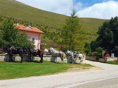 Fattoria didattica con animali