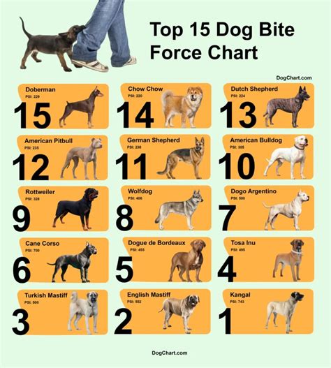 Chart showing dog breeds prone to difficult births