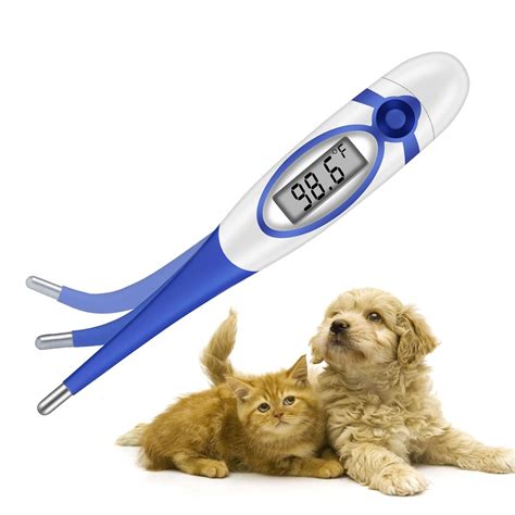 Thermometer showing a dog's reduced body temperature