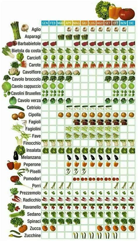 Tavola apparecchiata con alimenti freschi di stagione, verdure, cereali e frutta per lo svezzamento